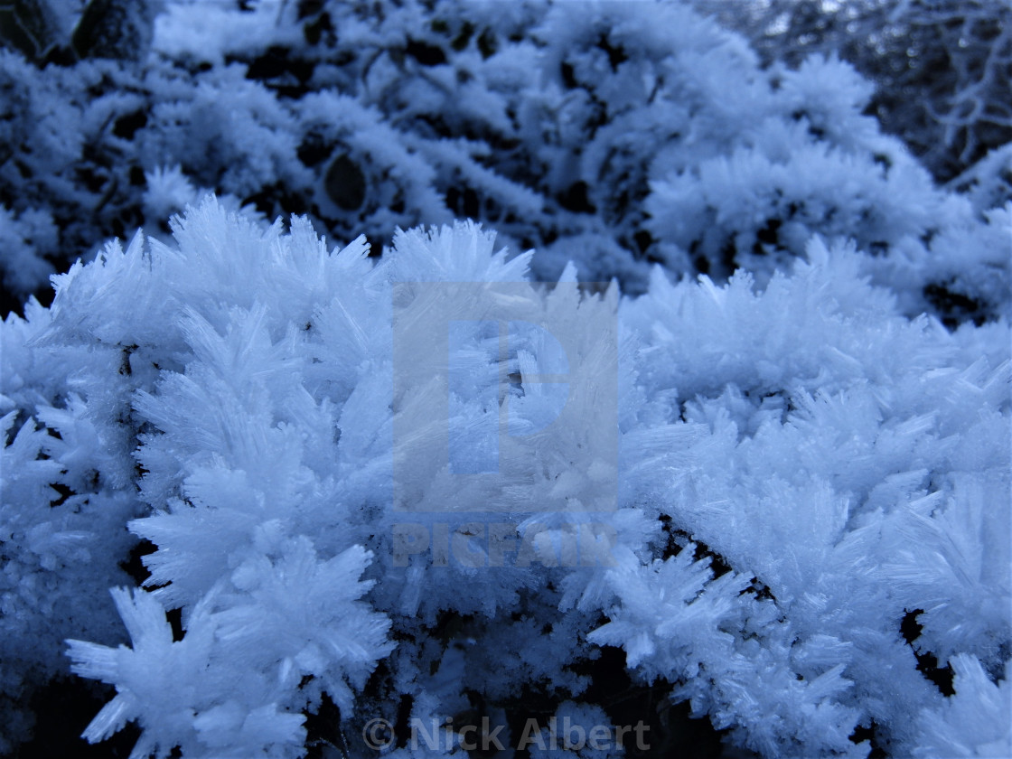 "Frosticles 2" stock image