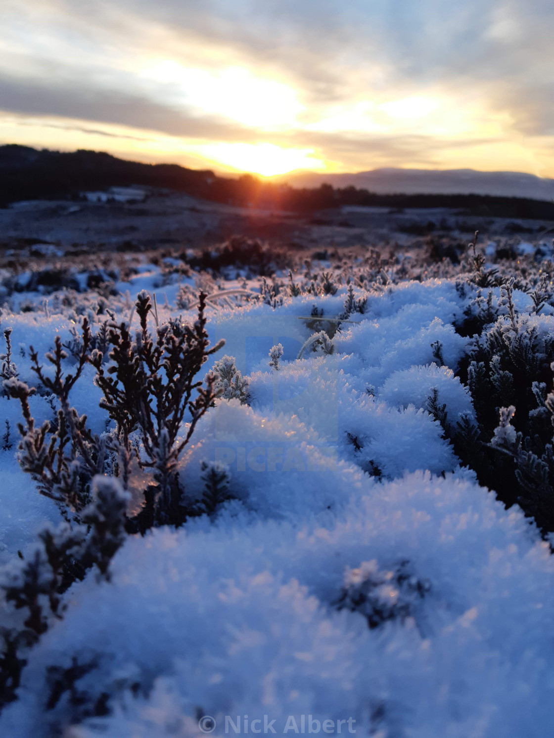 "Sunrise over snow" stock image