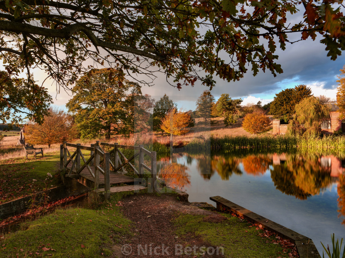 "Ickworth Park" stock image