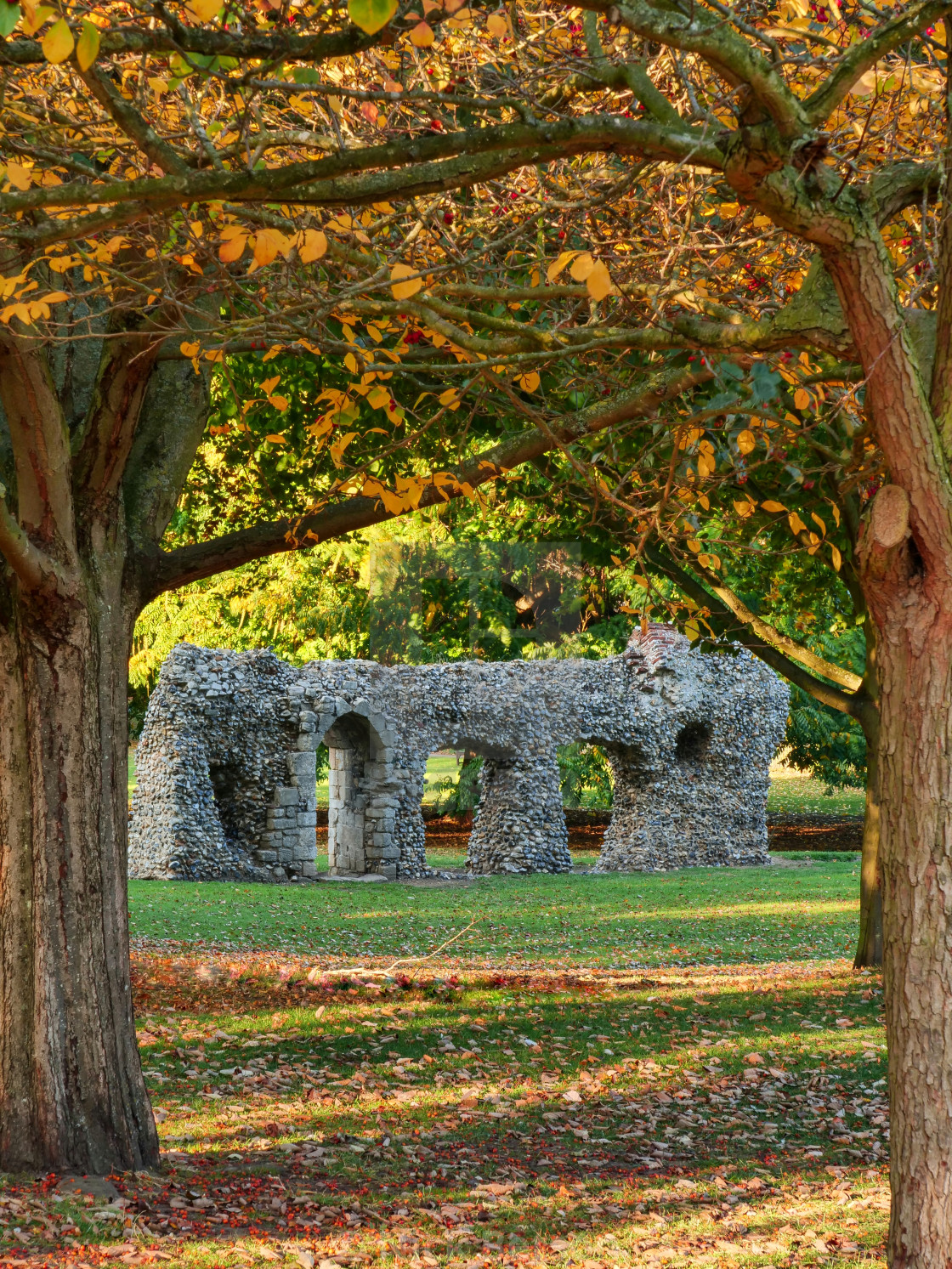 "Abbey Ruins" stock image