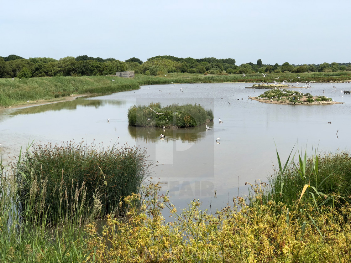 "Titchfield Haven" stock image