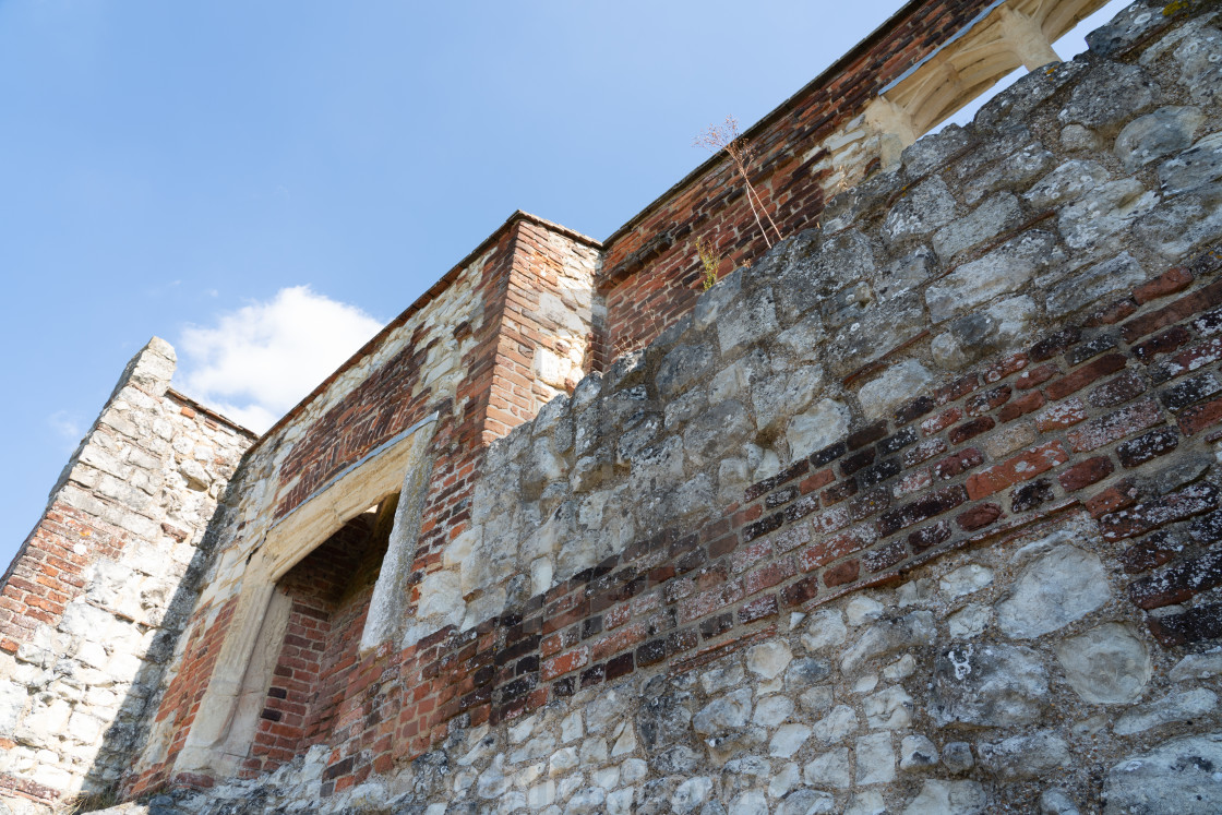 "Farnham Castle" stock image