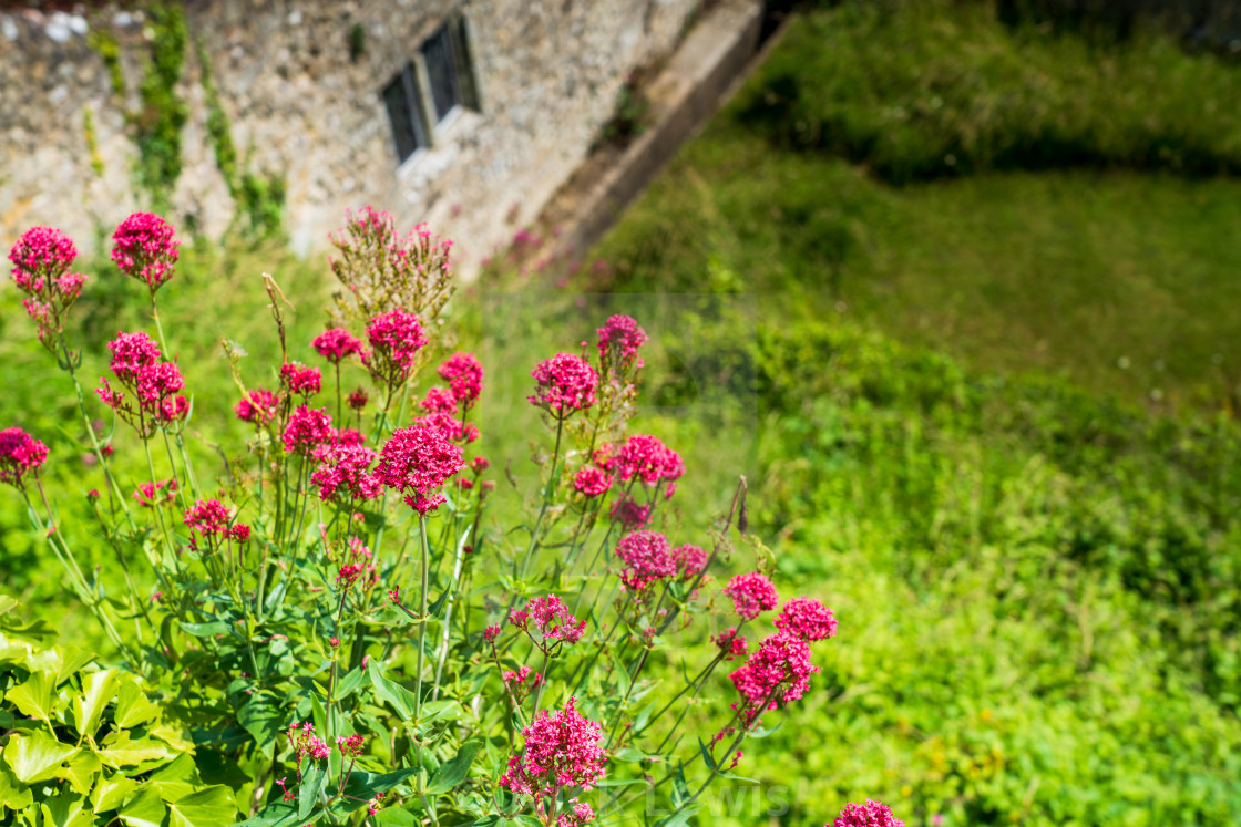 "Carisbrook Castle, Isle of Wight, England" stock image