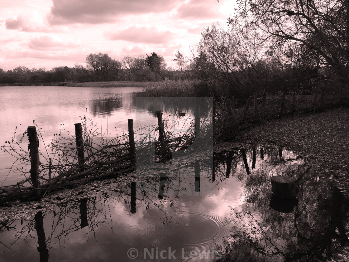 "Frensham Little Pond" stock image