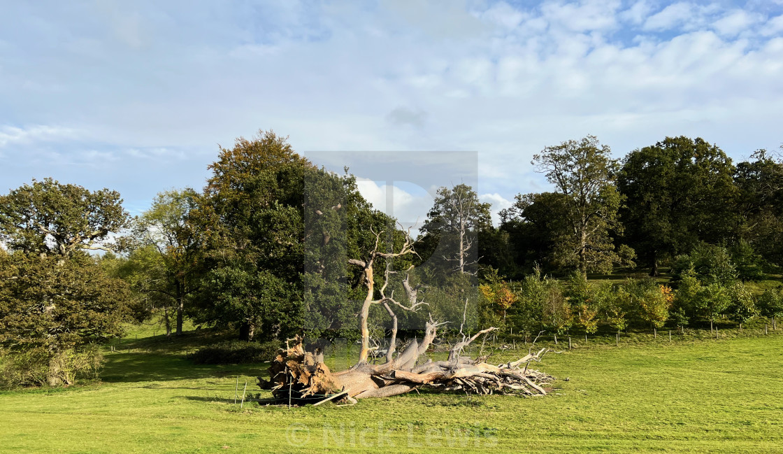 "Albury Park landscape" stock image