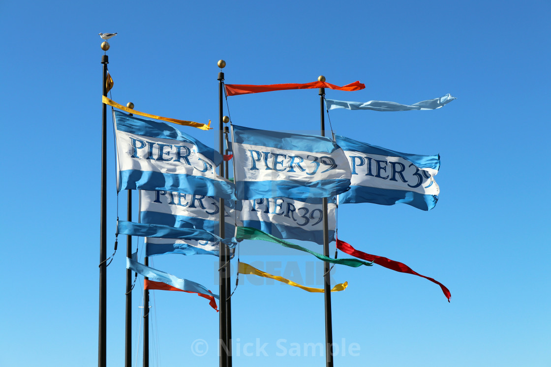 "The lone seagull at Pier 39" stock image