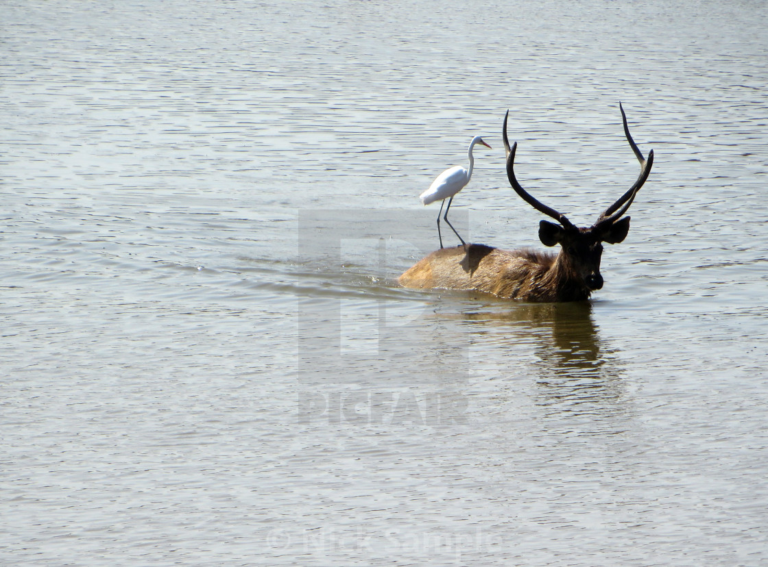 "Hitching a ride" stock image