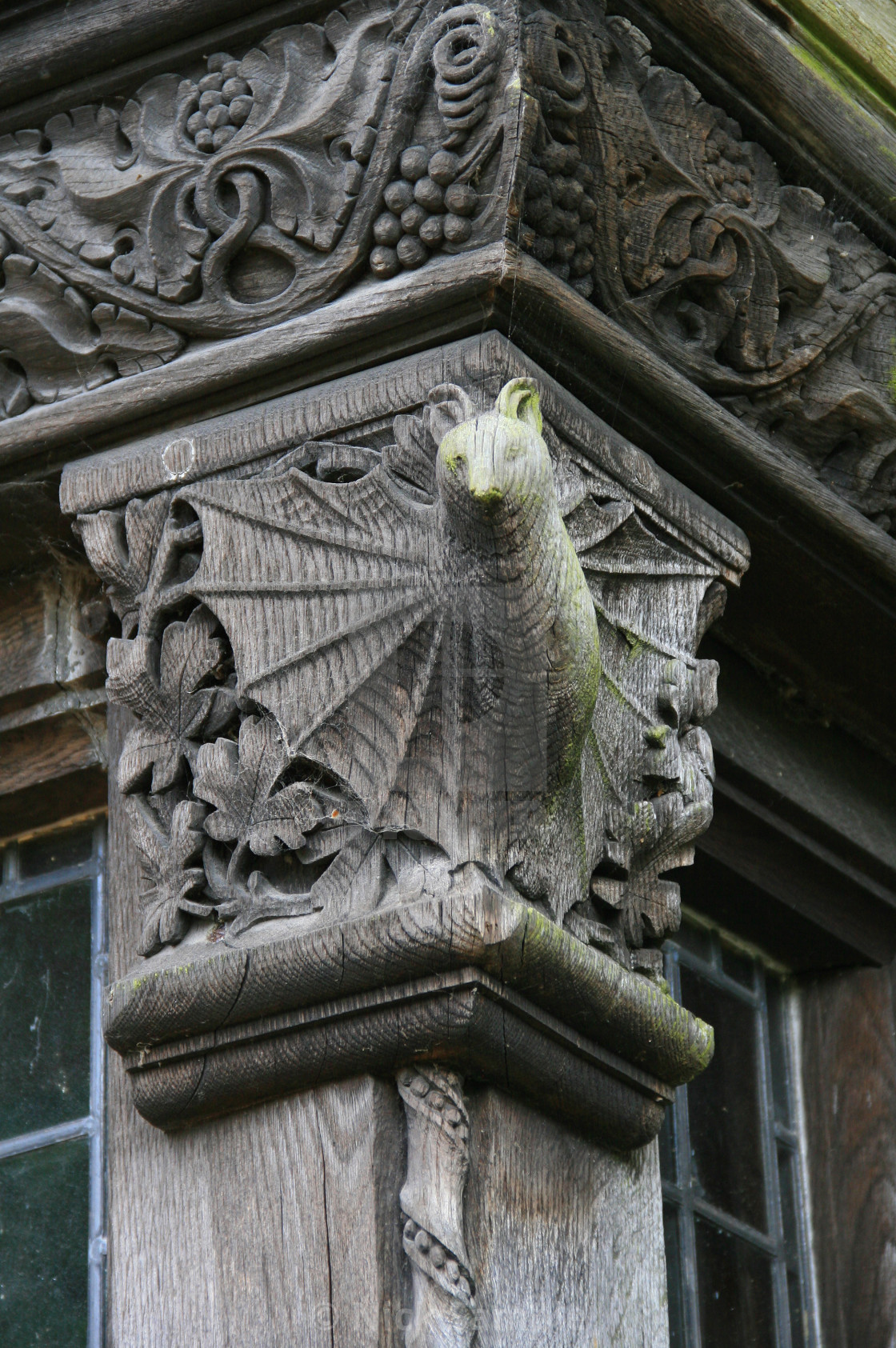 "The Cobwebbed Bat" by Nick Sample - $6.08 "The Cobwebbed Bat" stock image