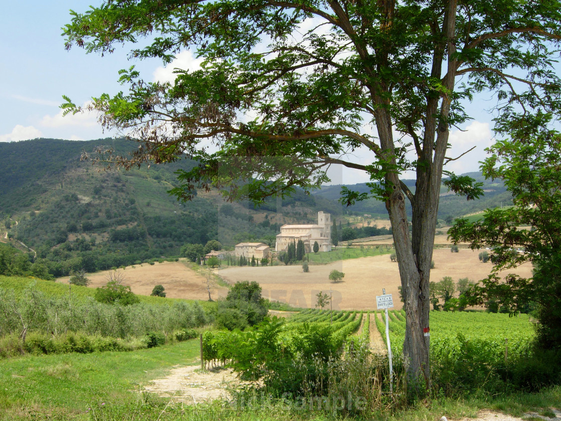 "Abbey of Sant'Antimo, near Montalcino, Tuscany" stock image