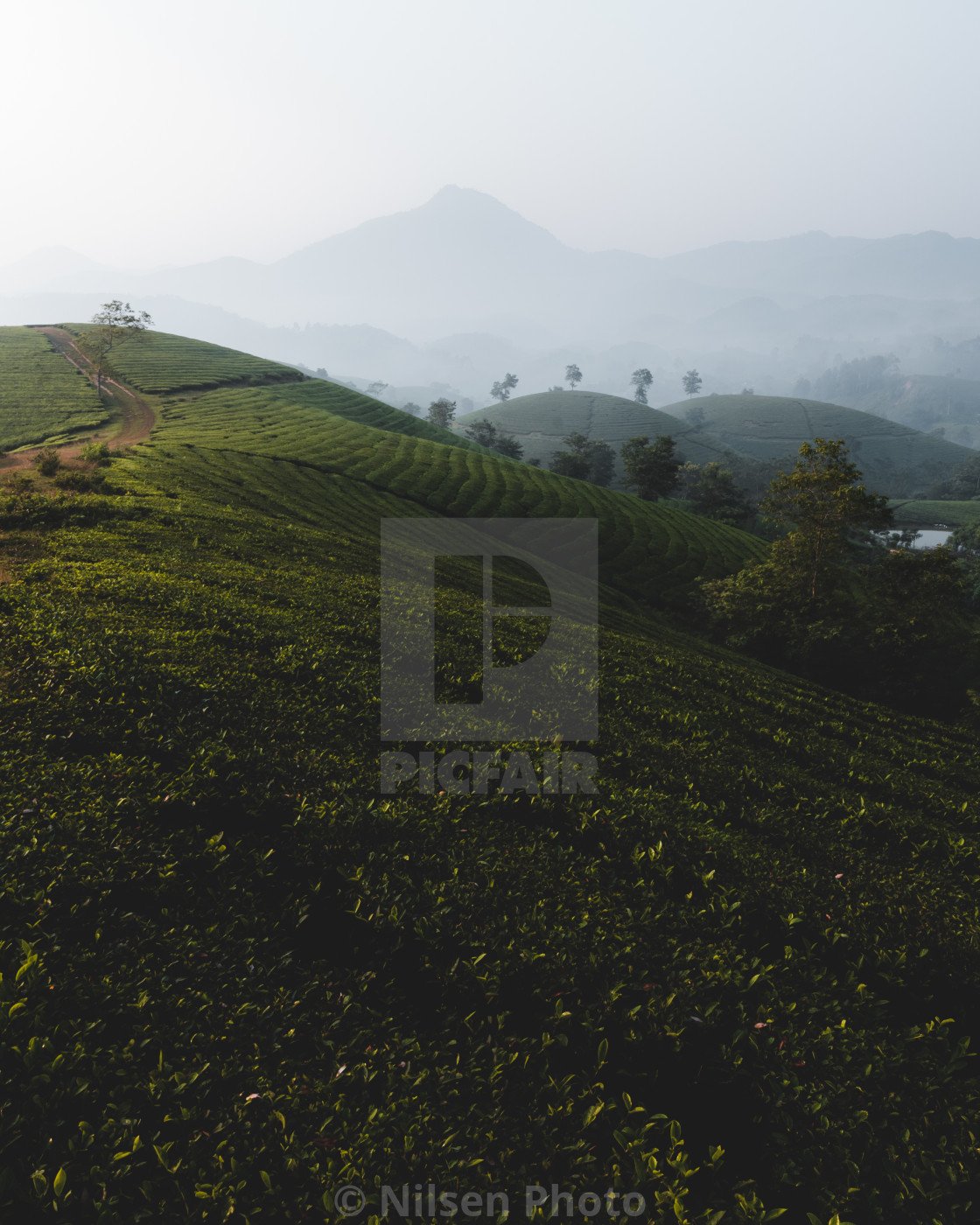 "Iconic landscapes of Vietnam" stock image