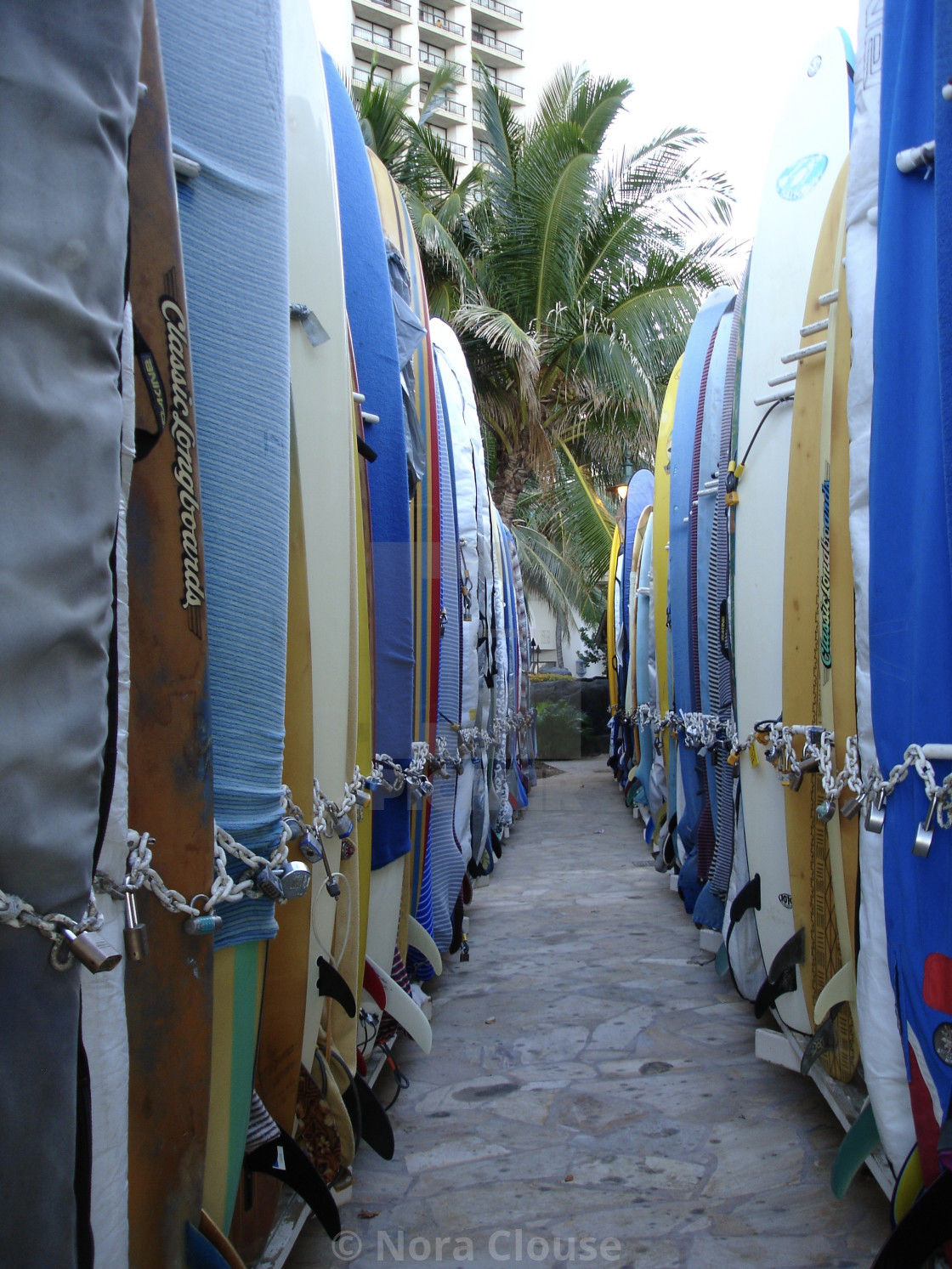 "Surfboards" stock image