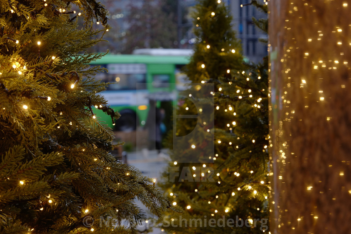 "Christmas Trees in Seoul, Korea" stock image