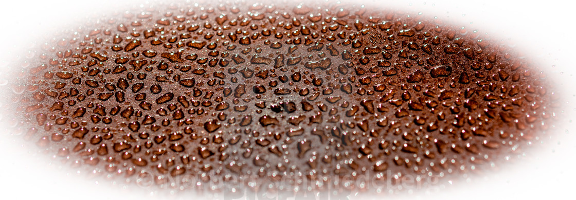 "raindrop vignette" stock image