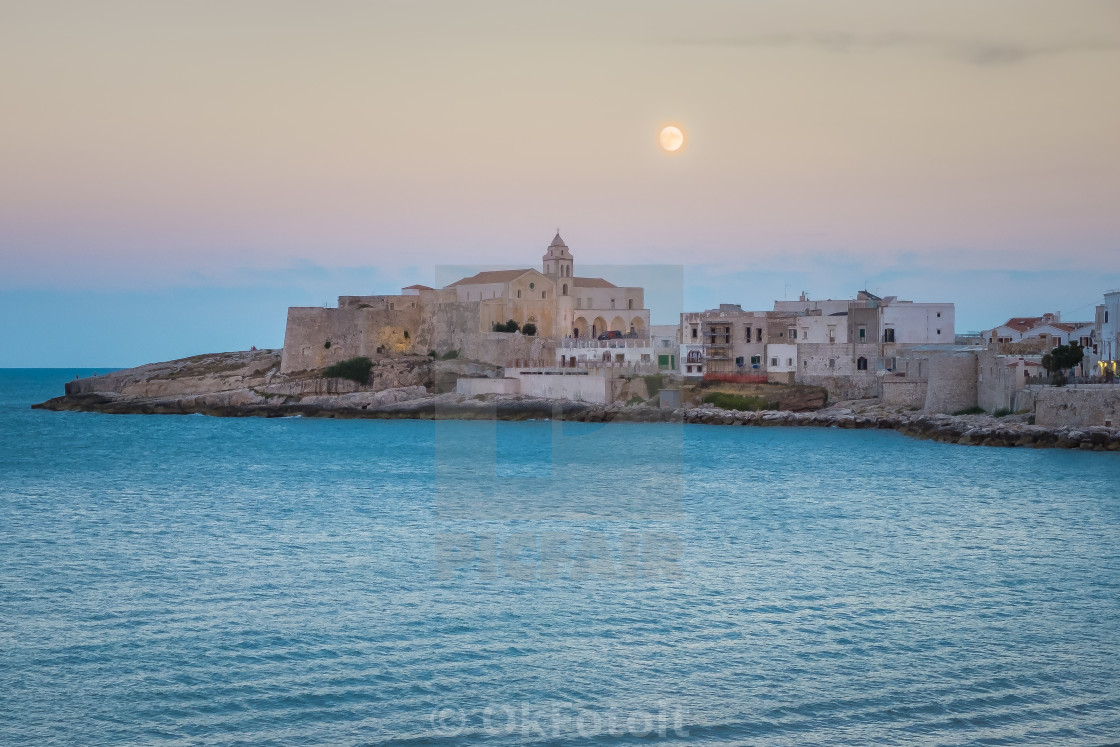 "Landscape of Vieste at dusk" stock image