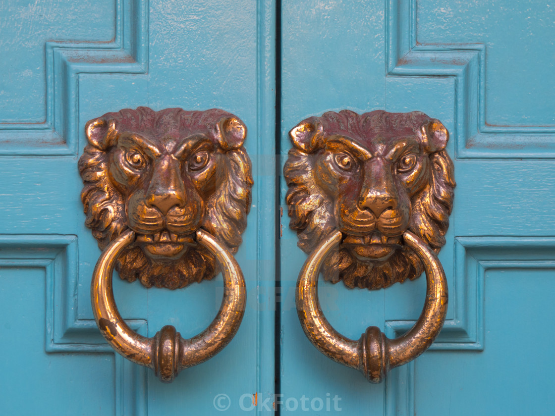 "Two brass lion shaped door knocker on wooden door" stock image