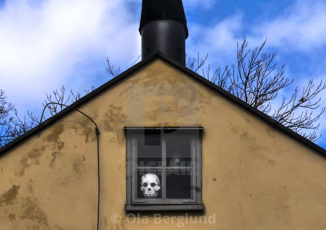 "Skull in window." stock image