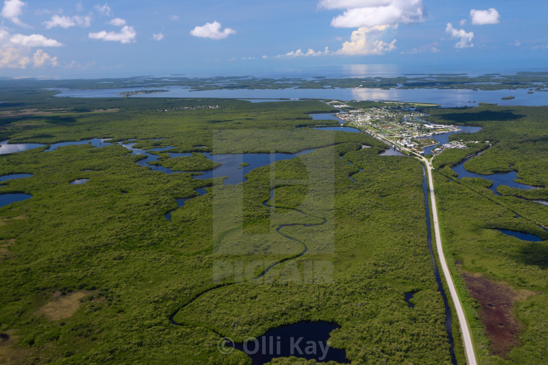 "Everglades City" stock image