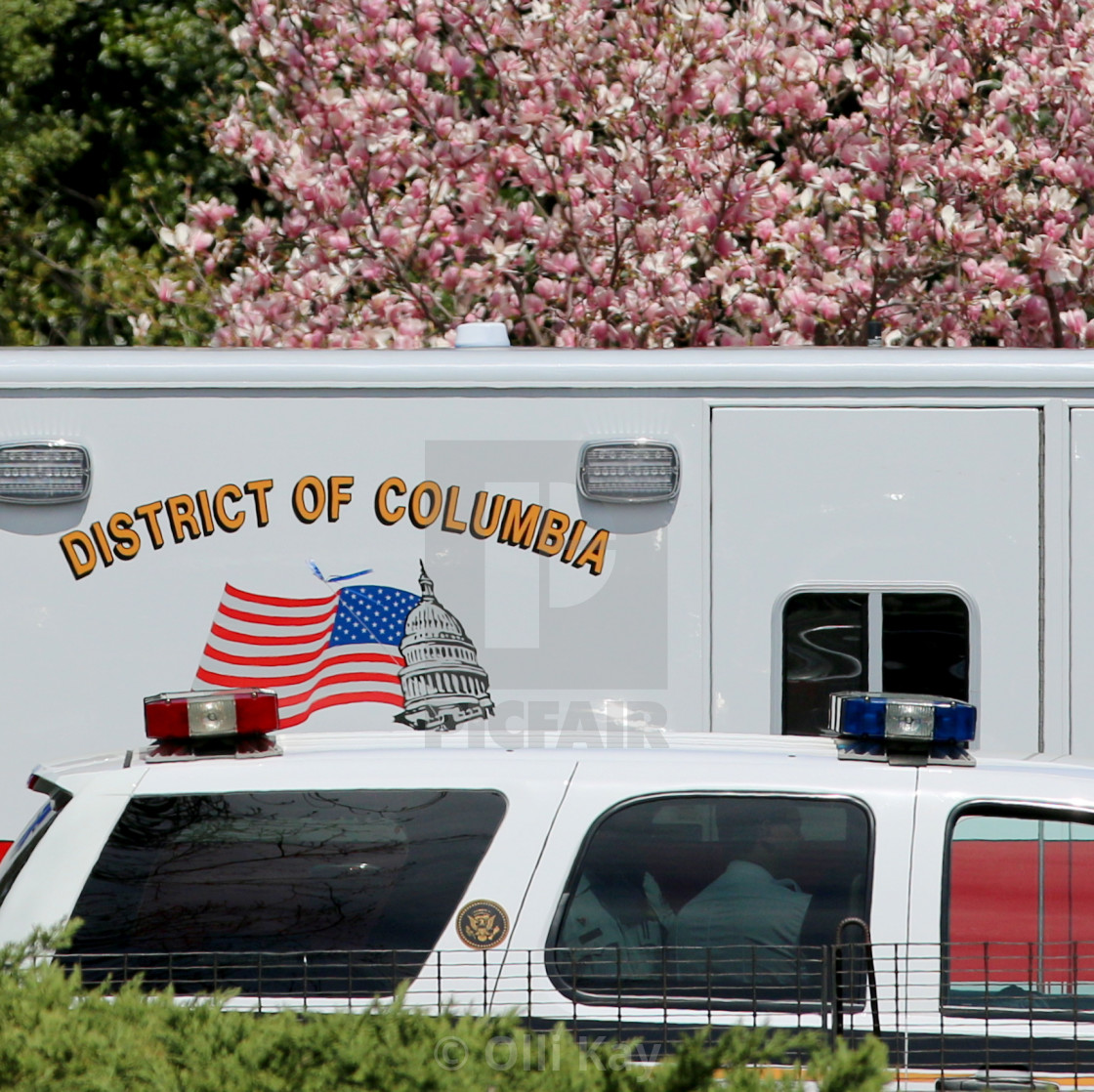 "Washington D.C." stock image