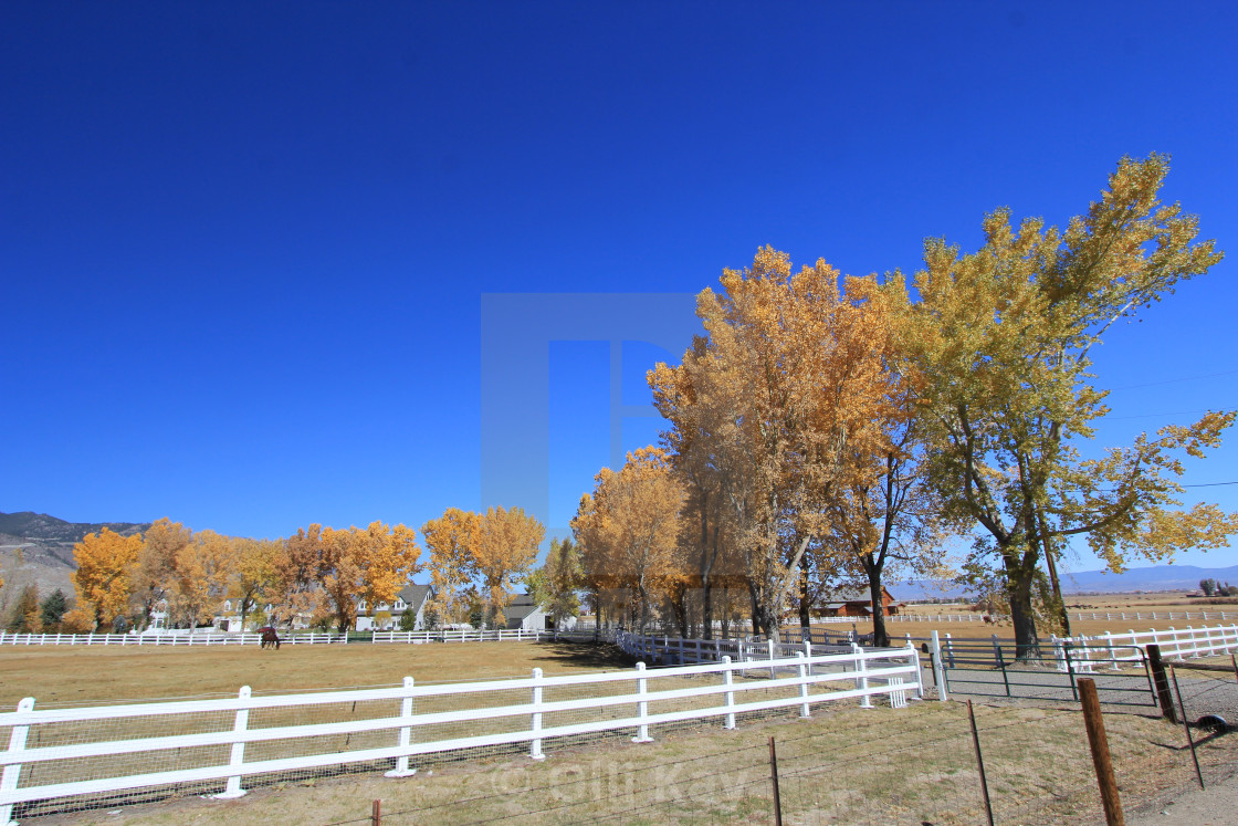 "Yosemite" stock image