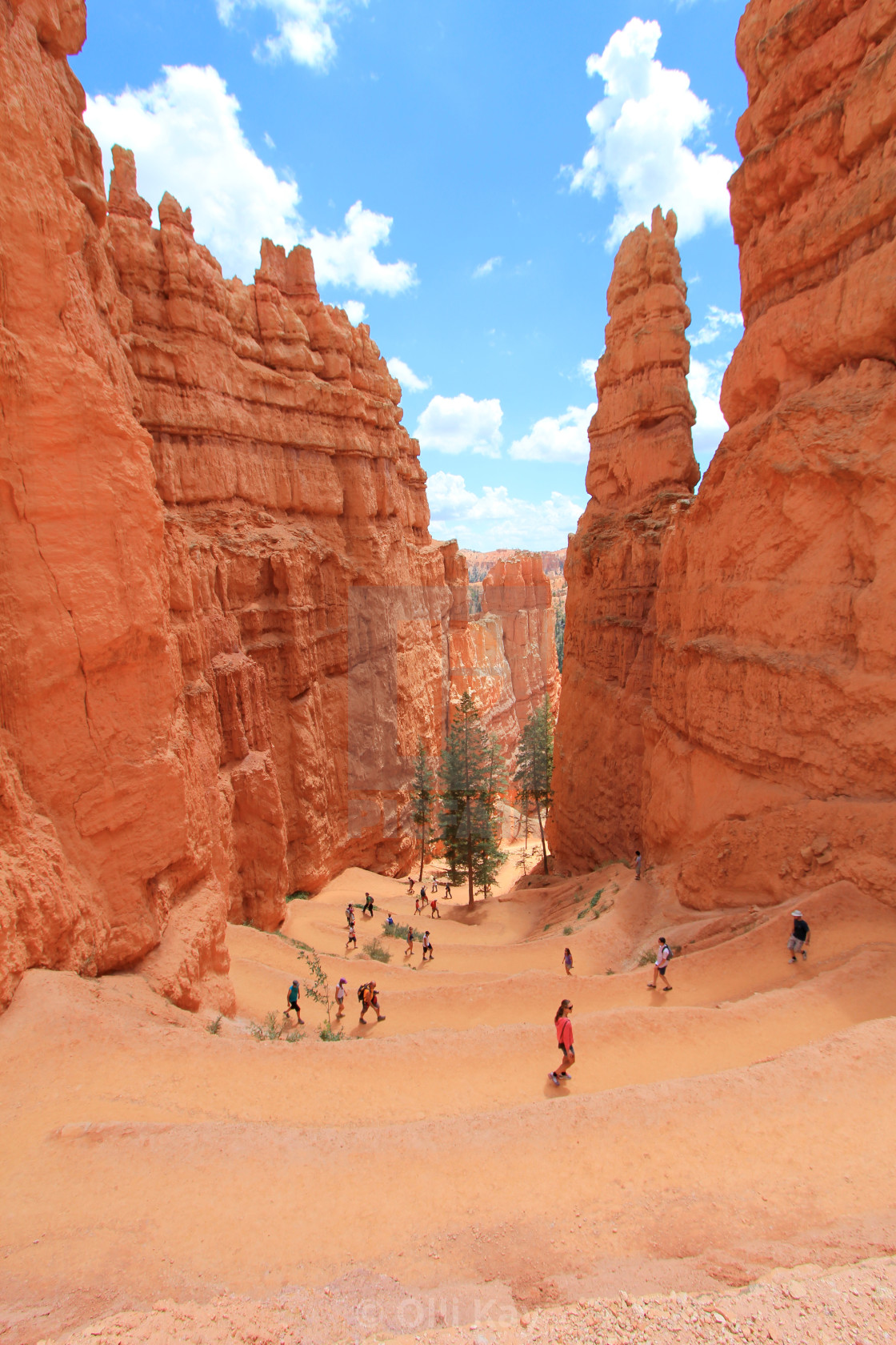 "Bryce Canyon" stock image