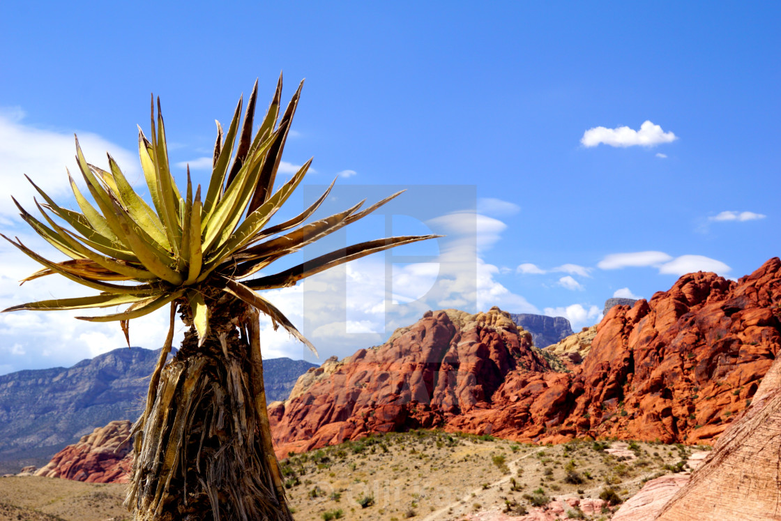 "Red Rock Canyon" stock image