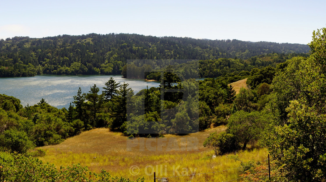 "Californian spring" stock image