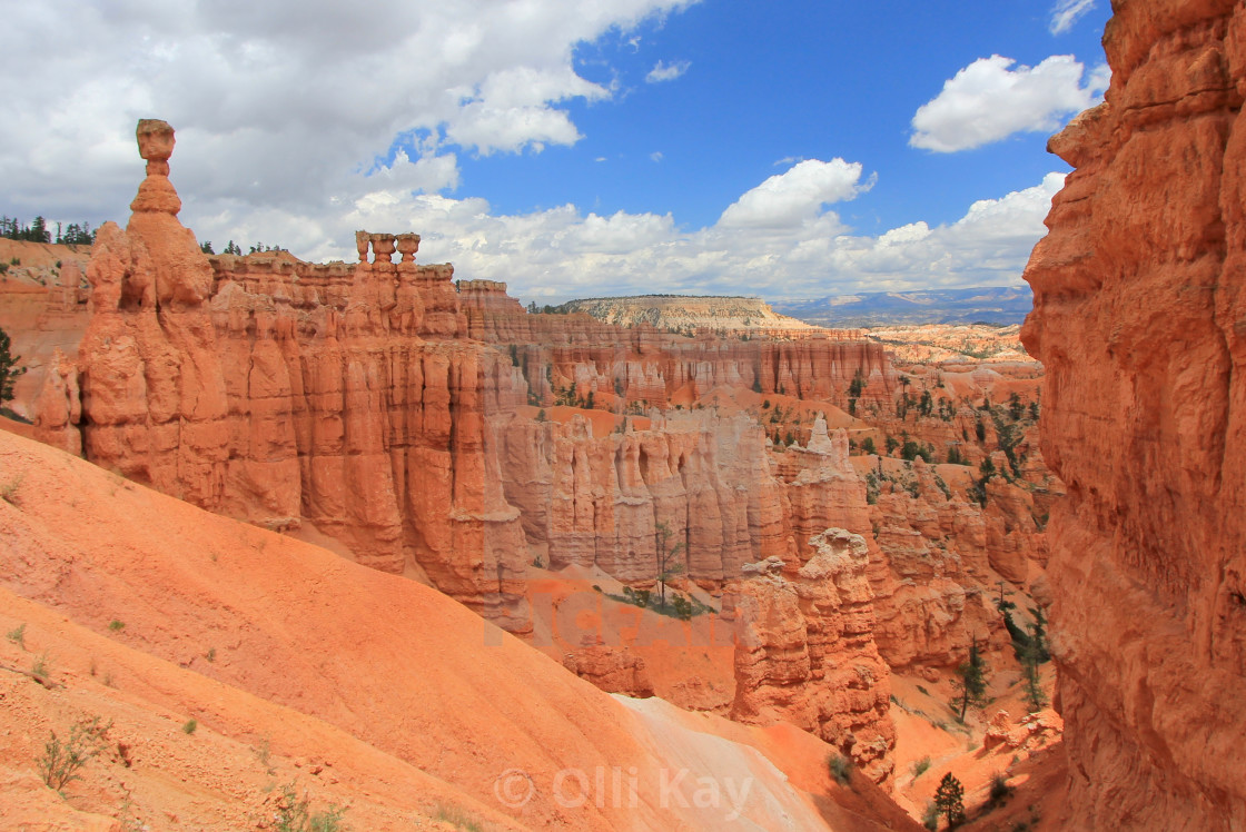 "Bryce Canyon" stock image