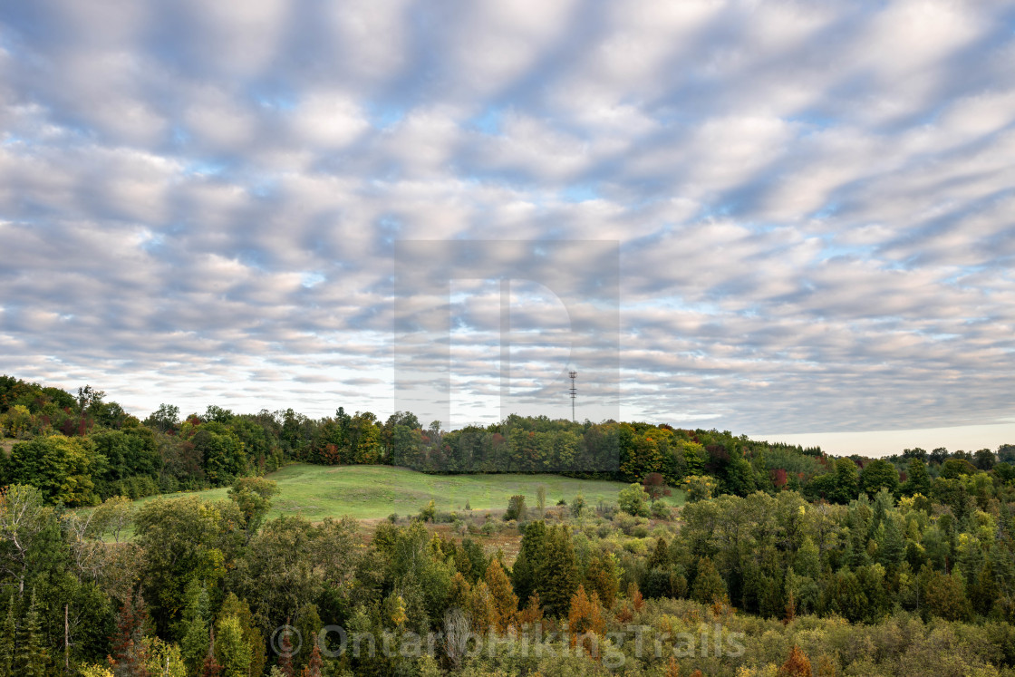 "Morning Sun In Autumn" stock image