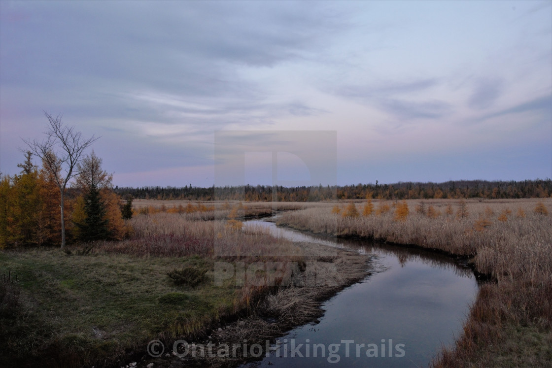 "The Other Side Of Balsam" stock image