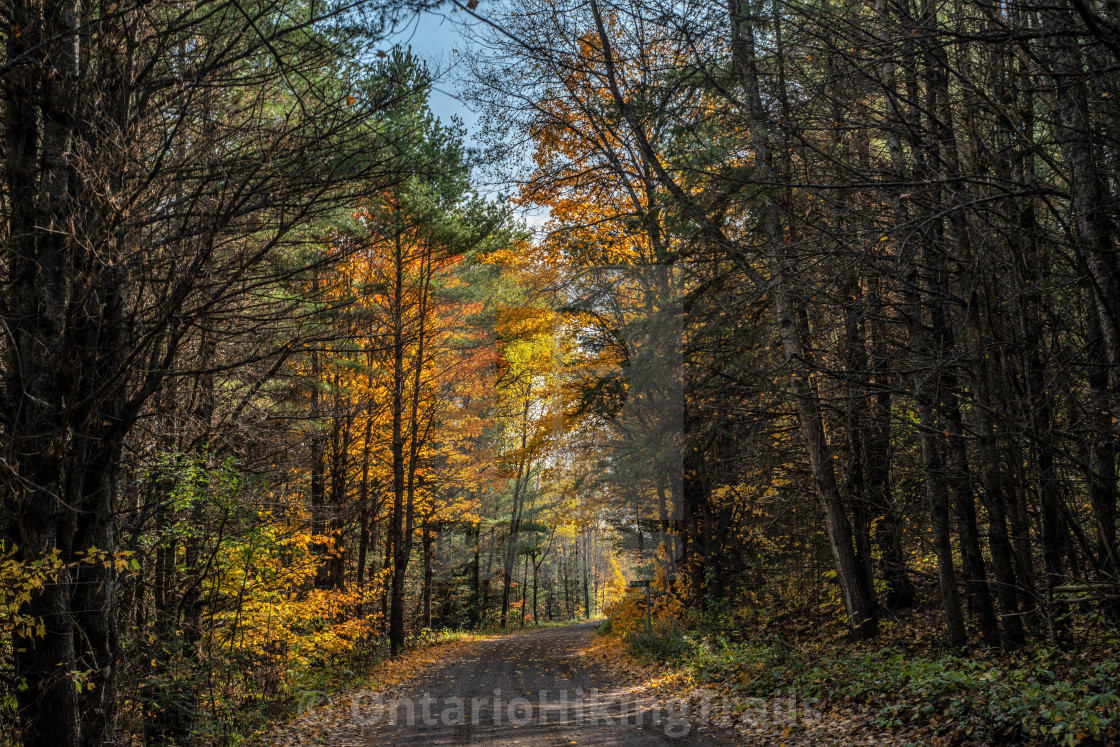 "Autumn Foliage Victoria Rail Trail" stock image