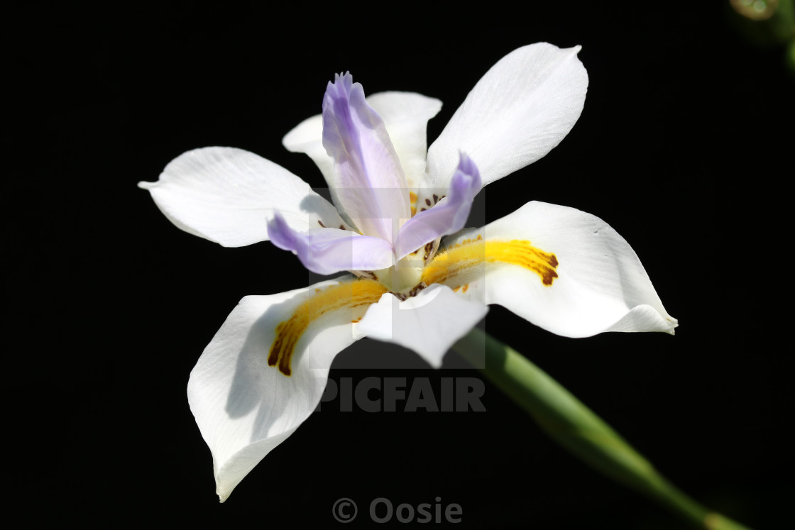 from £5.00