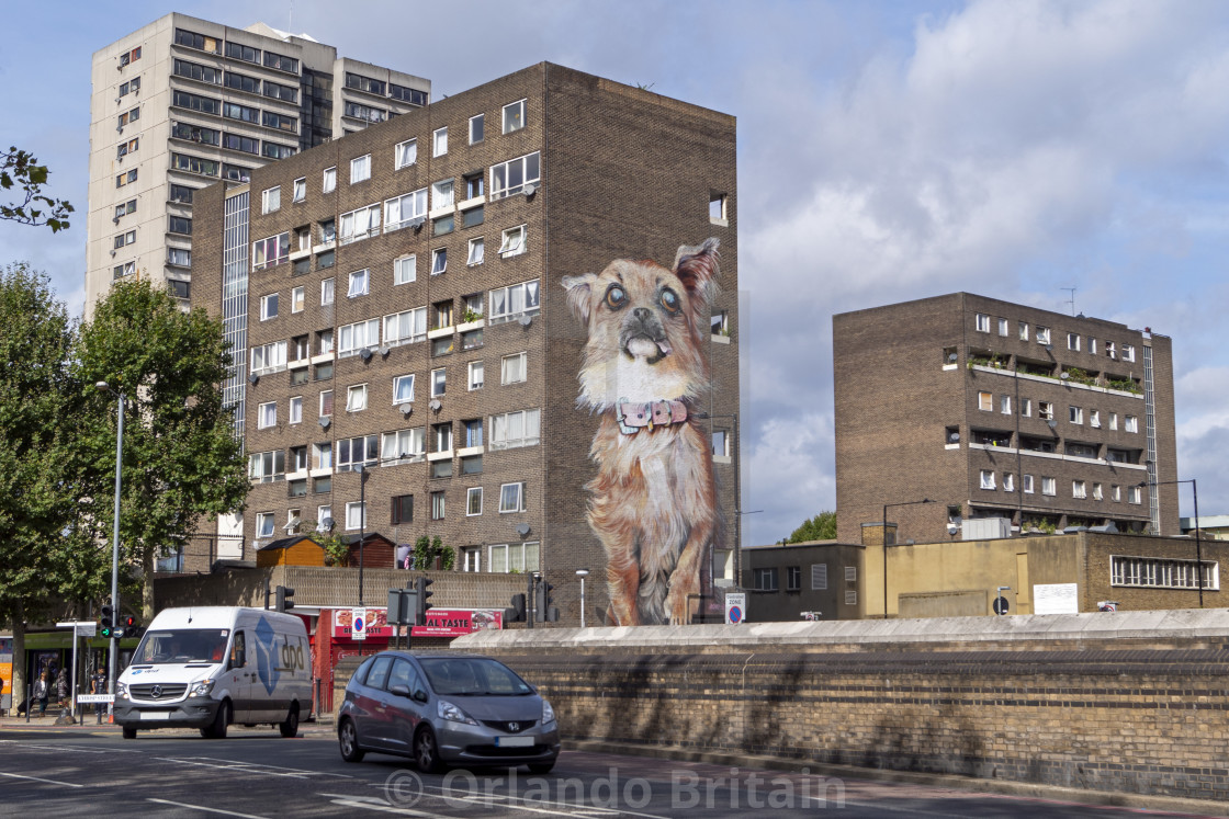 "Chihuahua streetart on tower block - Poplar" by Orlando Britain - $15.54 "Chihuahua streetart on tower block - Poplar" stock image
