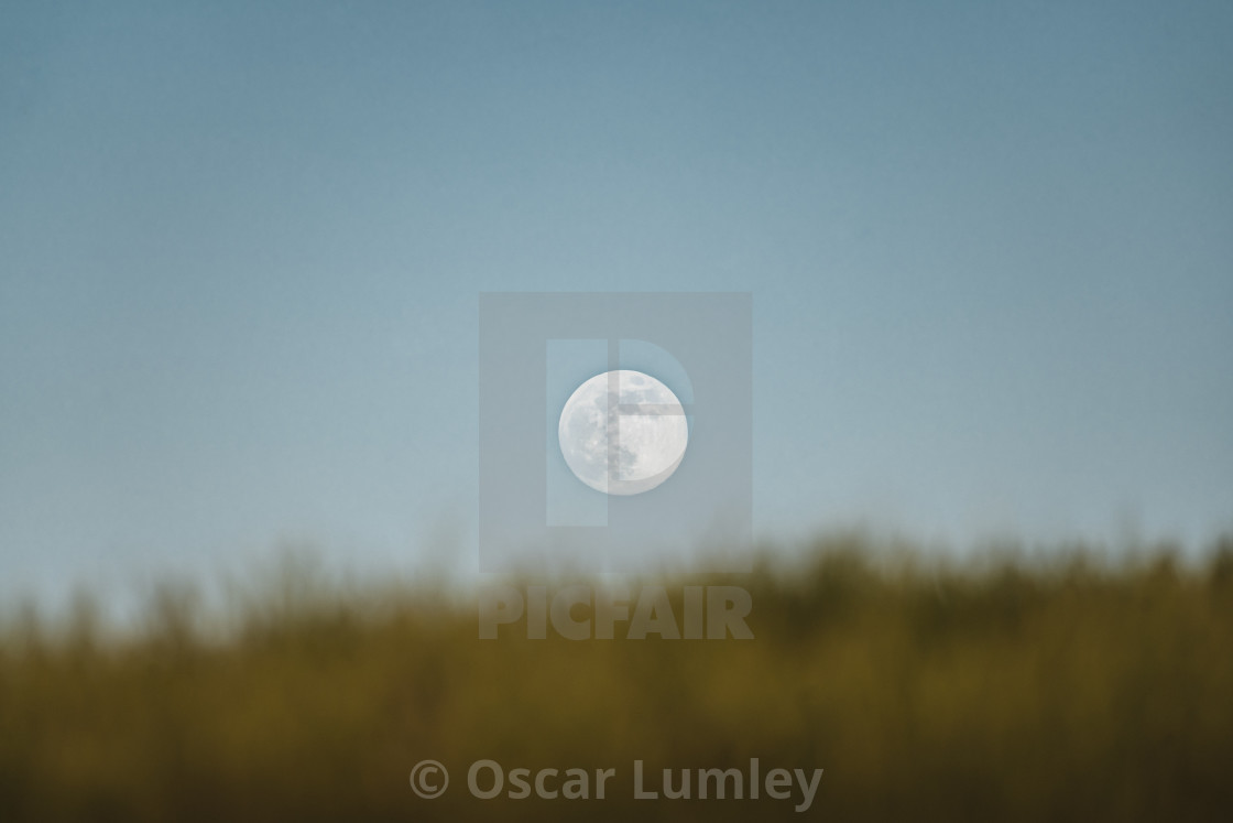 Flower Moon 2020 Landscsape License Download Or Print For 12 40 Photos Picfair Forecasts, signs, colors, dishes, how to celebrate. picfair