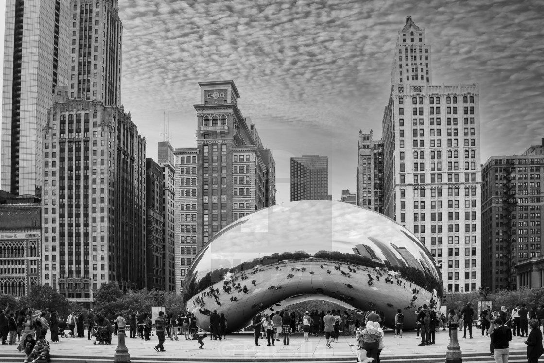 "Chicago bean" stock image