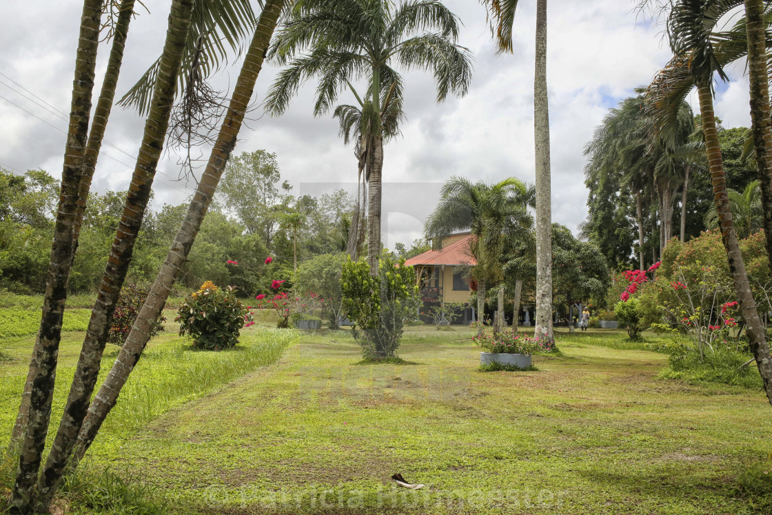 "Plantage Frederiksdorp" by Patricia Hofmeester - £12.40 "Plantage Frederiksdorp" stock image