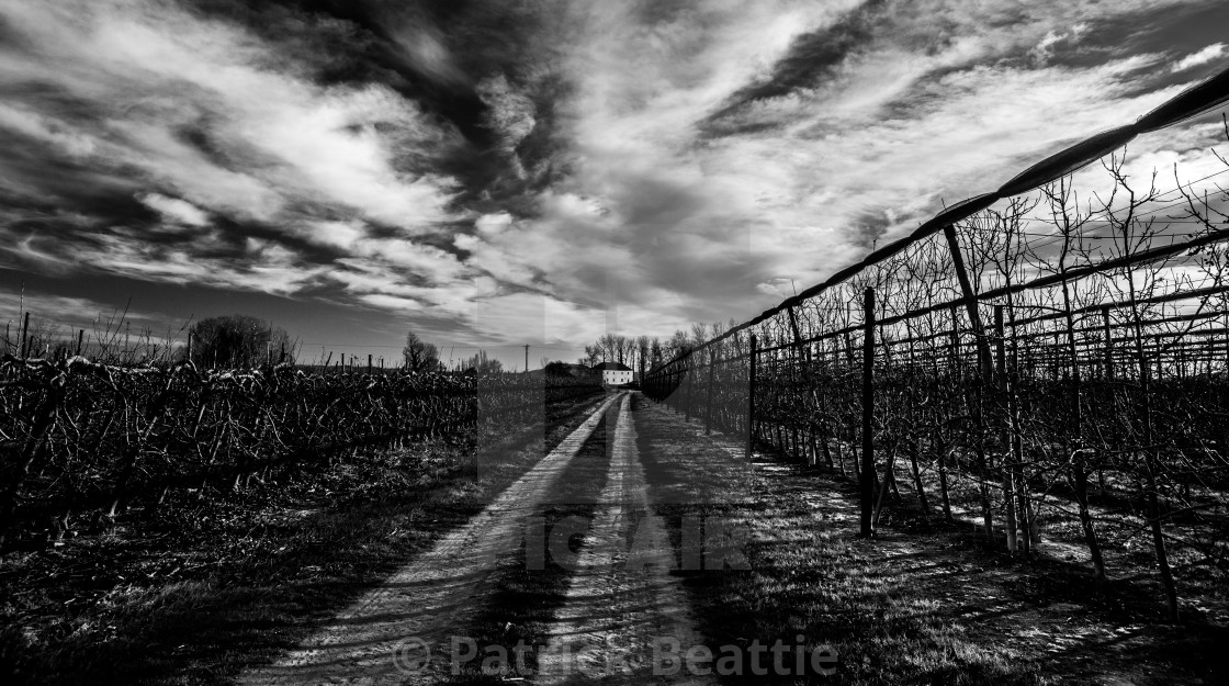 "Farmhouse - L'Armentera" by Patrick Beattie - $15.59 "Farmhouse - L'Armentera" stock image