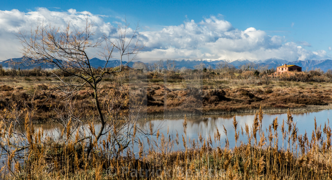 "Pyrenees - Alt Empordà" by Patrick Beattie - $15.59 "Pyrenees - Alt Empordà" stock image