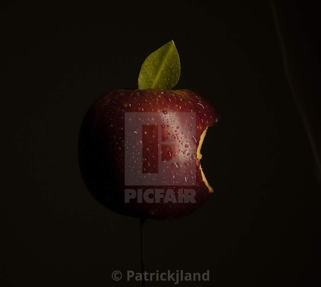 "Apple Logo For Real" stock image