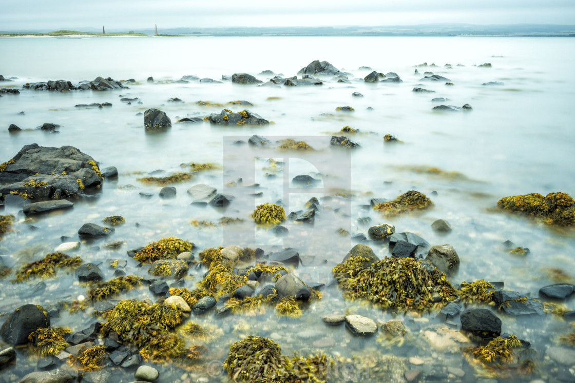 "Rocks and Seaweed at Lindisfarne" stock image