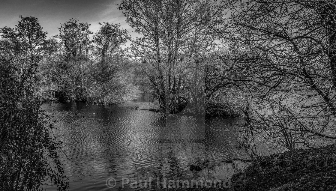 "Spring lake" stock image