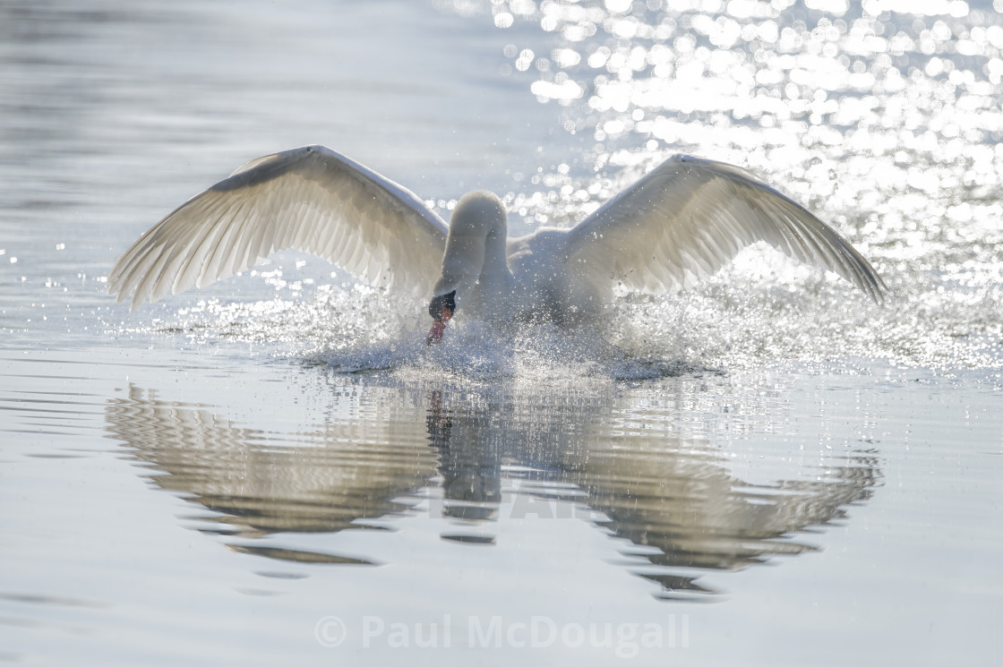 "Angel of the Loch" stock image