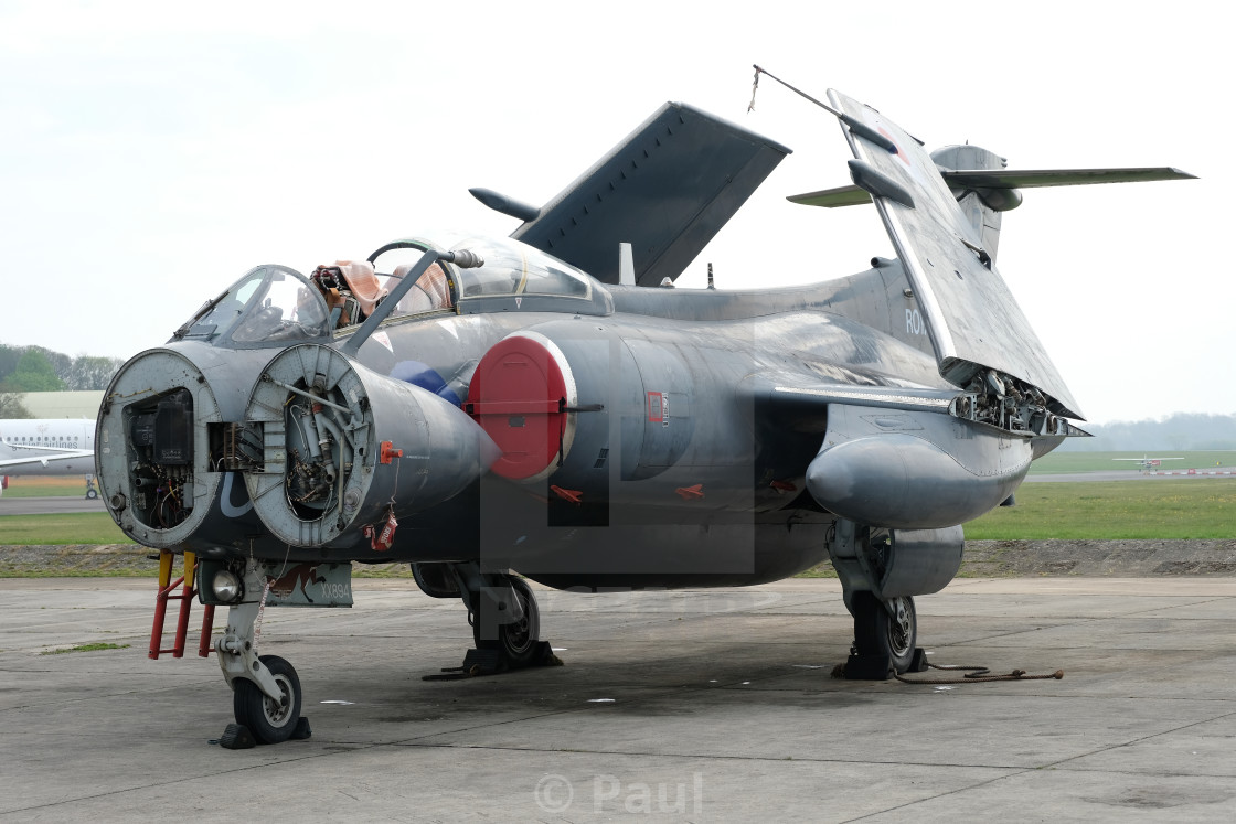 "Blackburn Buccaneer" stock image