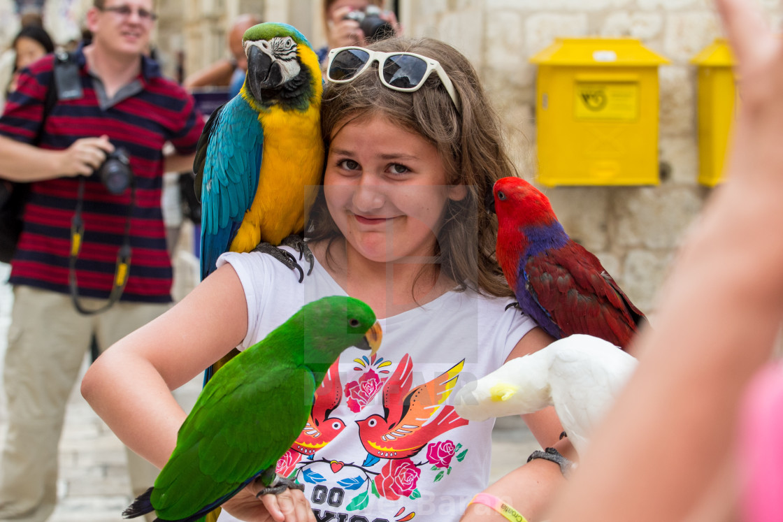 "The girl and the parrots" stock image