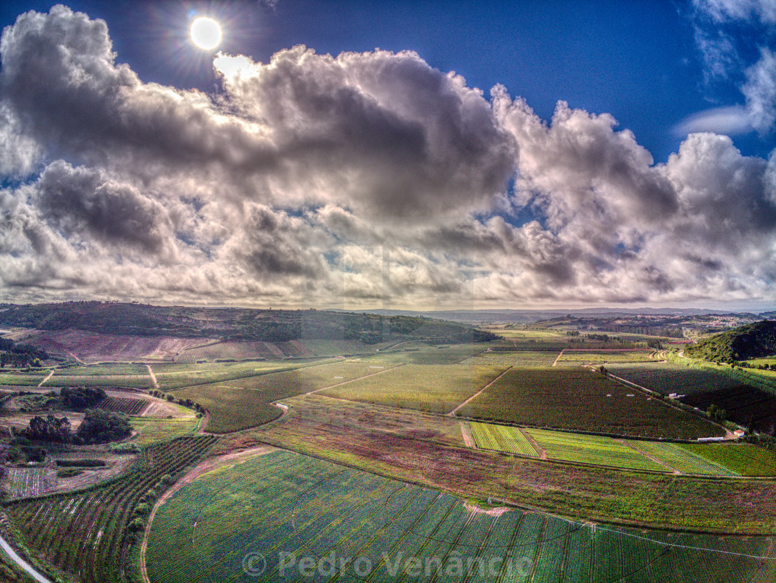 "Landsacpe Field aerial view" stock image