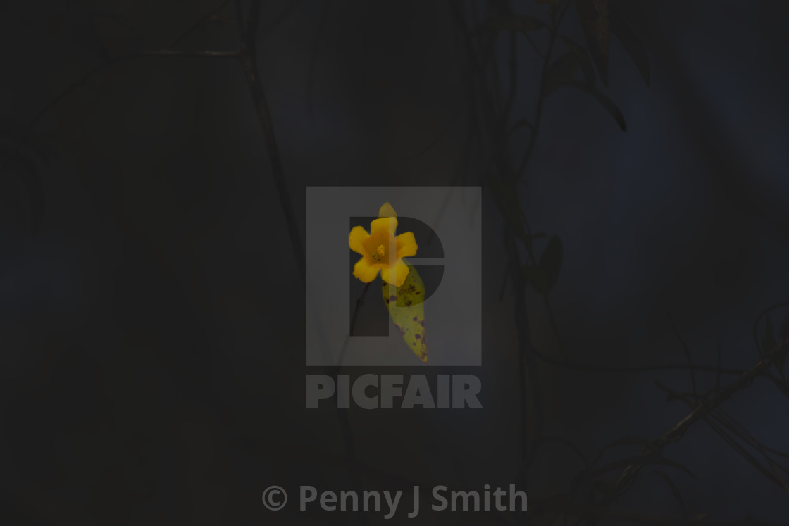 from $12.13