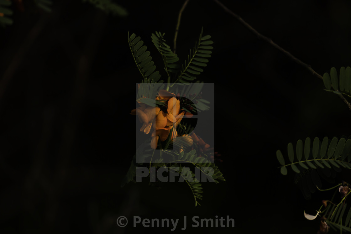 from $12.13