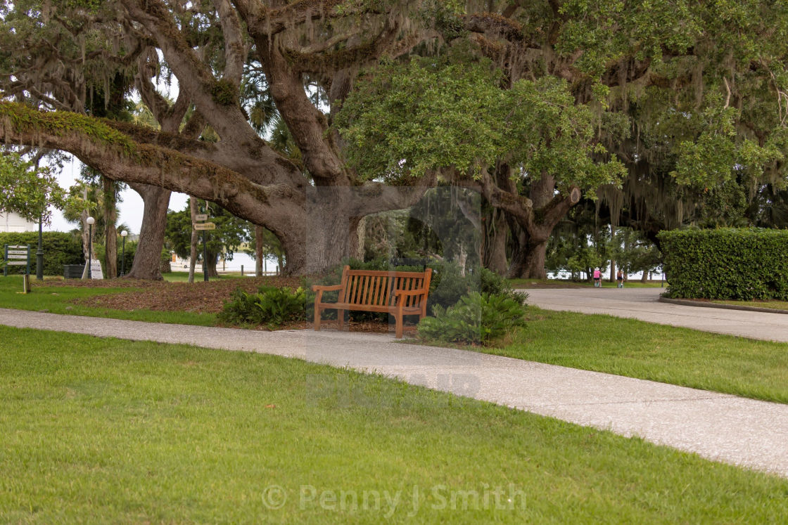 "Under The Old Oak Tree" by Penny J Smith - $12.13 "Under The Old Oak Tree" stock image