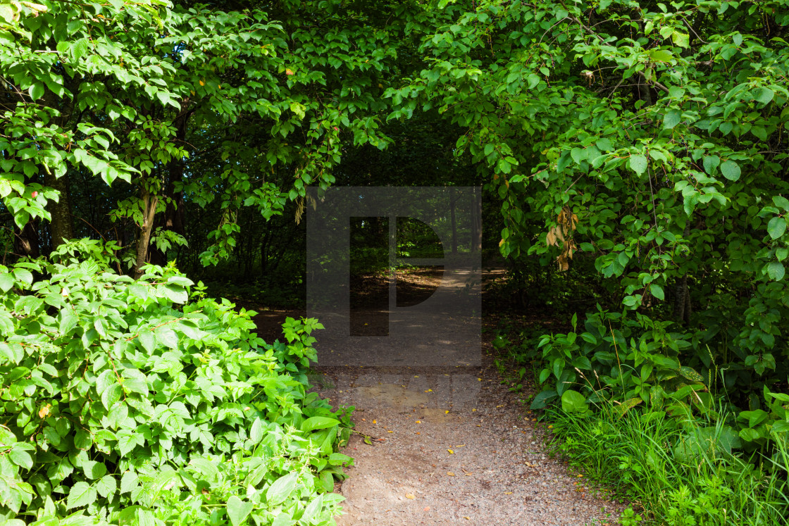 "The path to green" stock image