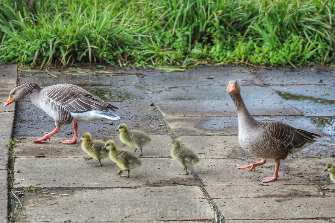 "Family Time" stock image