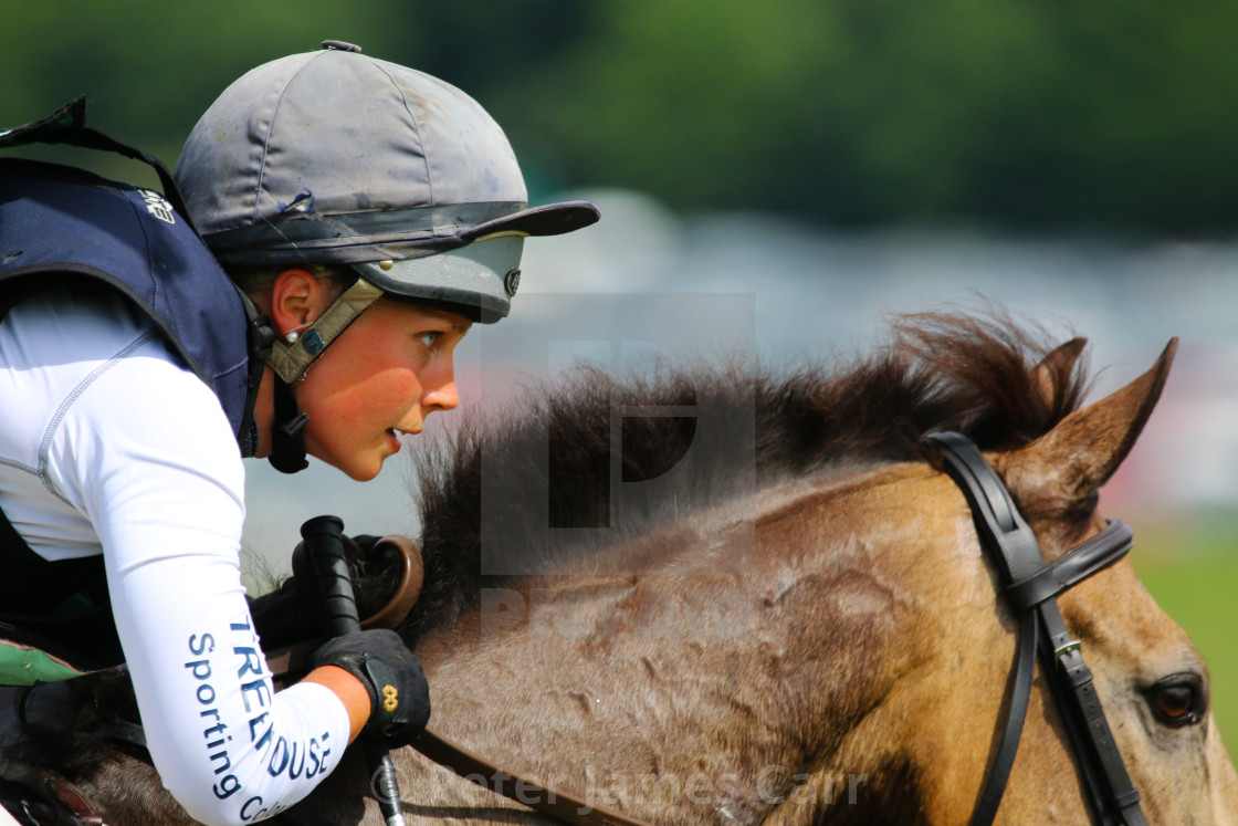 "Horse and Rider at Bramham International Horse Trials" by Peter James Carr - $15.44 "Horse and Rider at Bramham International Horse Trials" stock image